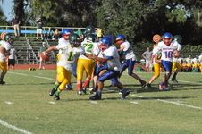 Enlarge photo 558