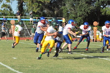 Enlarge photo 559