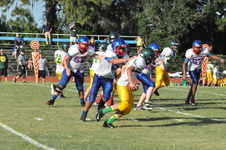 Enlarge photo 560