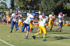 Enlarge photo 561