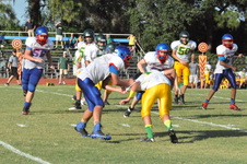 Enlarge photo 562
