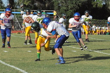 Enlarge photo 564