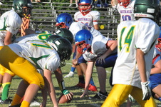 Enlarge photo 566