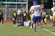 Enlarge photo 570