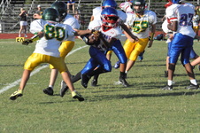 Enlarge photo 581