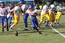 Enlarge photo 582