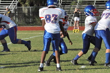 Enlarge photo 590