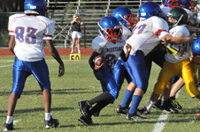 Enlarge photo 591