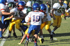 Enlarge photo 593