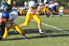 Enlarge photo 595