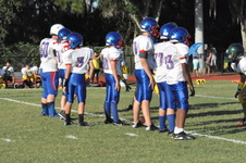 Enlarge photo 598