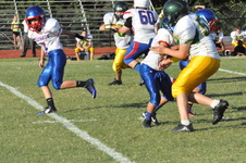Enlarge photo 609