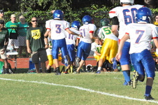 Enlarge photo 618