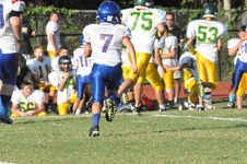 Enlarge photo 623