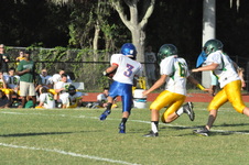 Enlarge photo 635