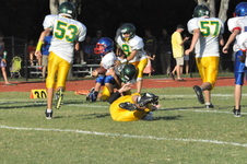 Enlarge photo 641