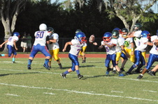Enlarge photo 652