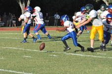 Enlarge photo 654