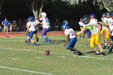 Enlarge photo 655