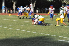 Enlarge photo 657