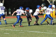 Enlarge photo 665