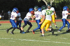 Enlarge photo 667