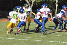 Enlarge photo 668