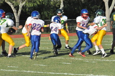 Enlarge photo 669