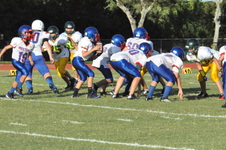 Enlarge photo 673