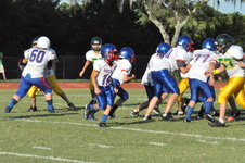 Enlarge photo 675