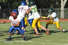 Enlarge photo 679
