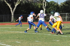 Enlarge photo 712
