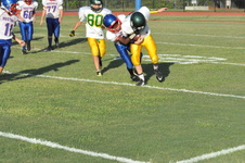 Enlarge photo 719