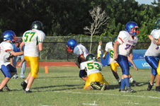 Enlarge photo 734