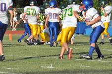 Enlarge photo 742