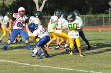Enlarge photo 751