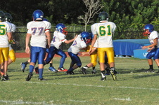 Enlarge photo 781