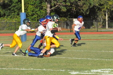 Enlarge photo 793
