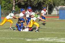 Enlarge photo 794