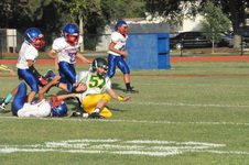 Enlarge photo 795
