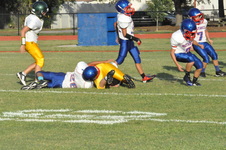 Enlarge photo 797
