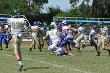 Enlarge photo 29