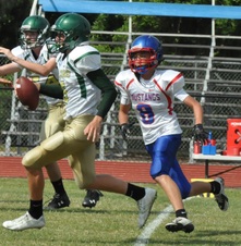 Enlarge photo 44