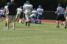 Enlarge photo 59