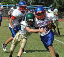 Enlarge photo 75