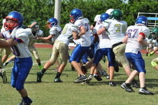 Enlarge photo 81