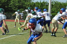 Enlarge photo 84