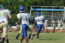 Enlarge photo 96
