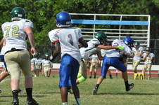 Enlarge photo 97
