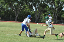Enlarge photo 103
